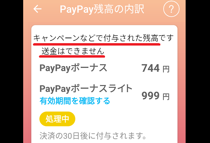 付与済のポイントと決済待ちの処理中ポイント